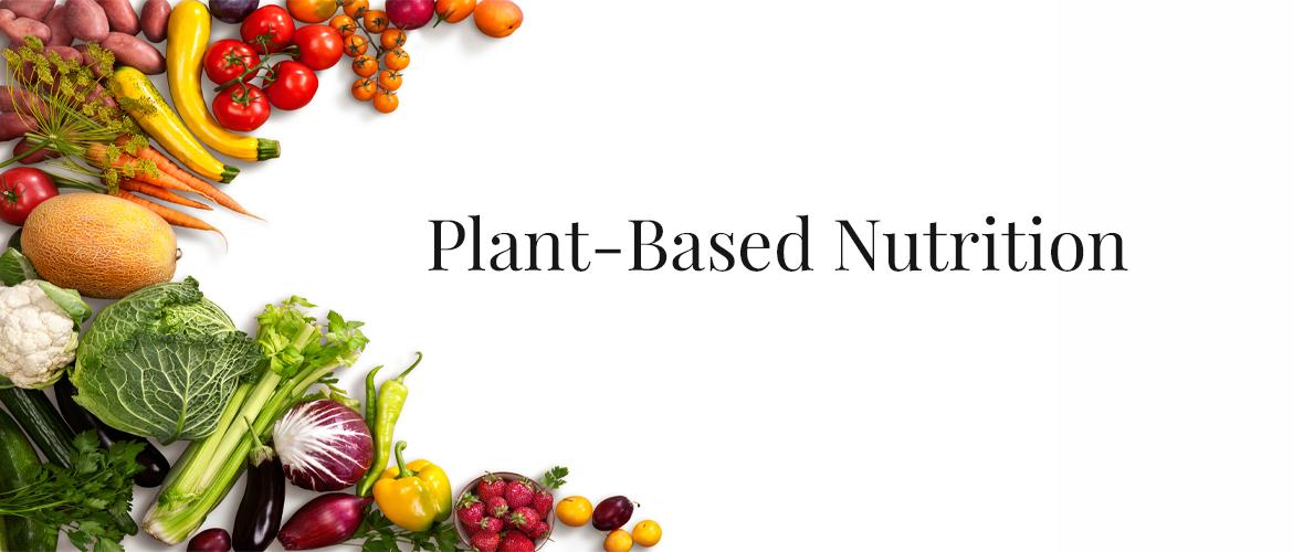 Plant Based Nutrition